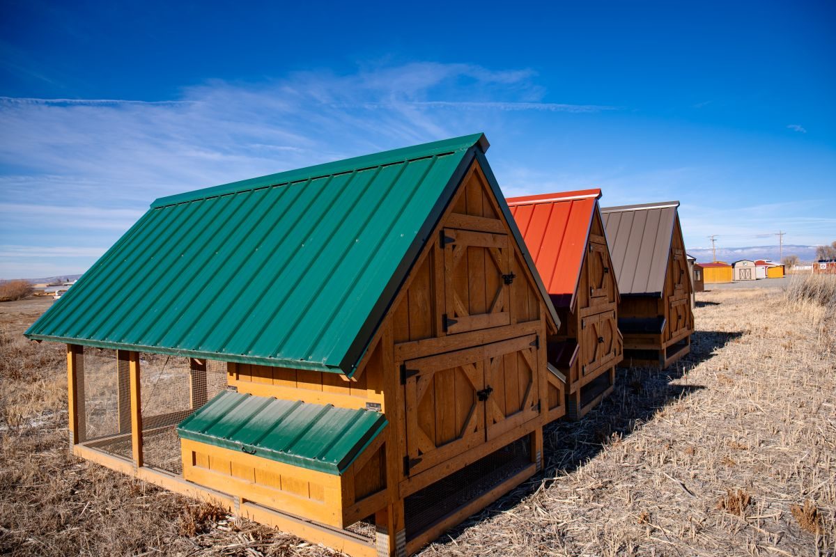 process-step-2-3 Three colorful chicken coops with green, red, and orange roofs stand in a dry, open field under a clear blue sky. The coops are aligned in a row, and the landscape is expansive and rural.